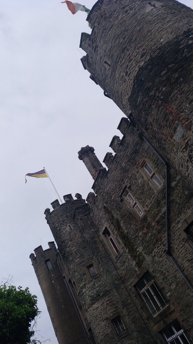 Copia de Castle (Enniscorthy) [1600x1200]